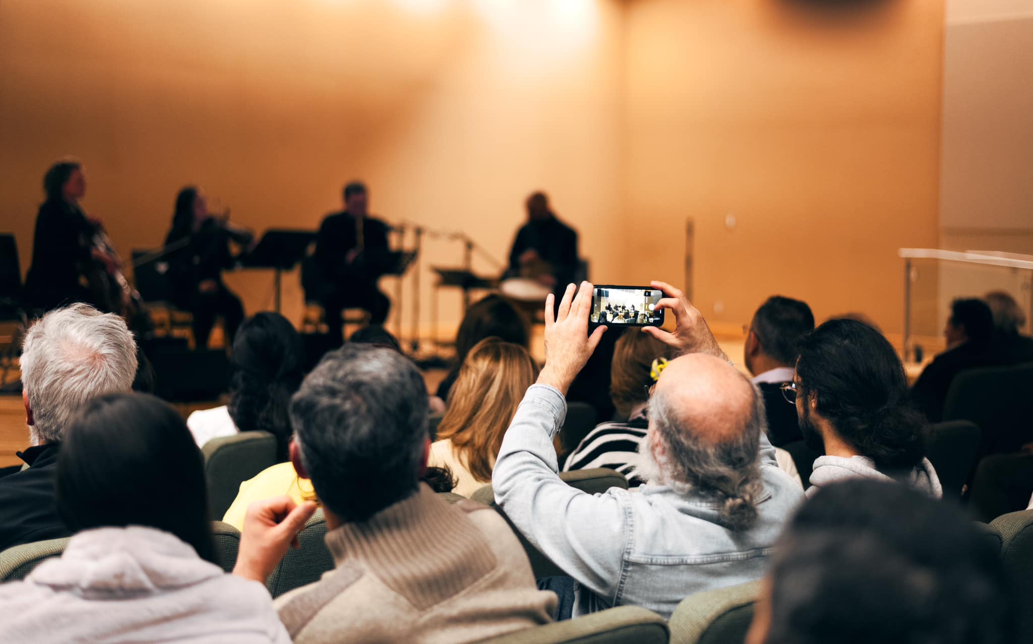 CAMS musician performing an intimate cultural music program